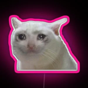 Sad Cat RGB Neon Sign