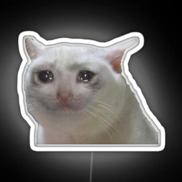 Sad Cat RGB Neon Sign