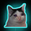 A sad cat depicted in an RGB neon sign with blue tones.