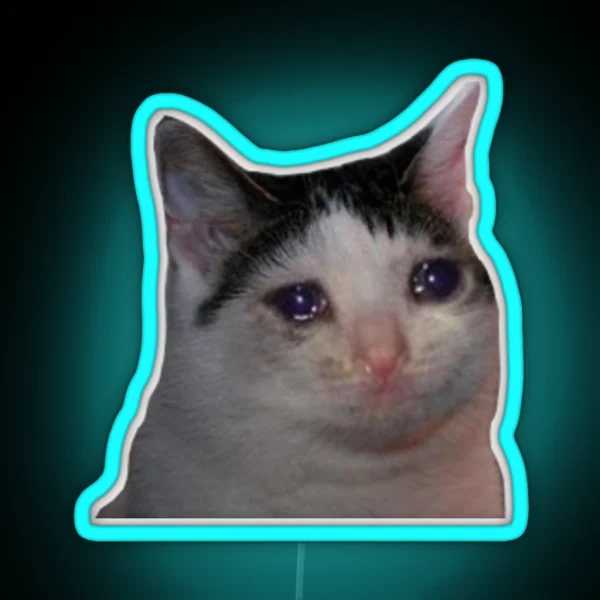 Sad Cat RGB Neon Sign