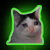 sad-cat-neon-sign-rgb-green