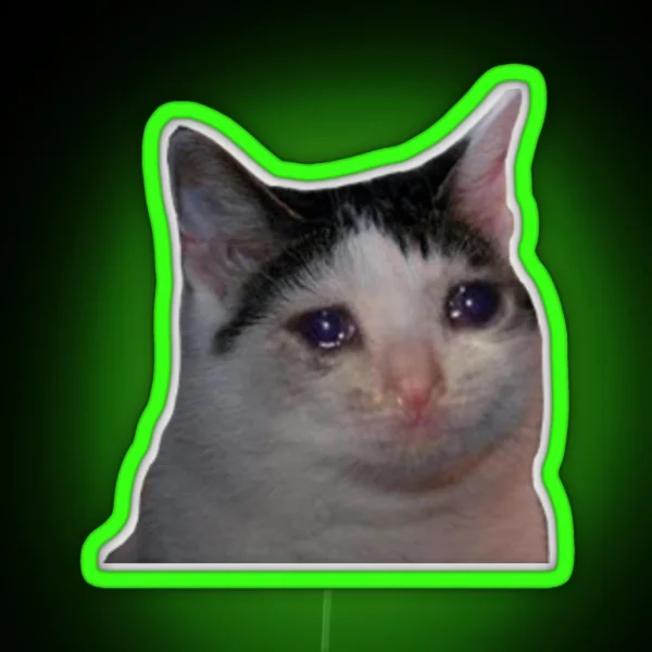 Sad Cat RGB Neon Sign