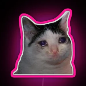 Sad Cat RGB Neon Sign