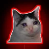 A sad cat depicted in an RGB neon sign with a striking red glow.