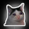 A sad cat with an RGB neon sign on white background.