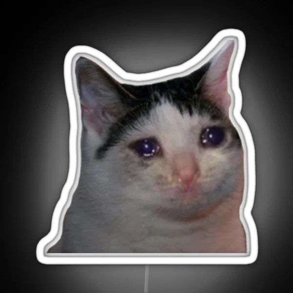 Sad Cat RGB Neon Sign