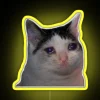 A sad cat neon sign in RGB yellow
