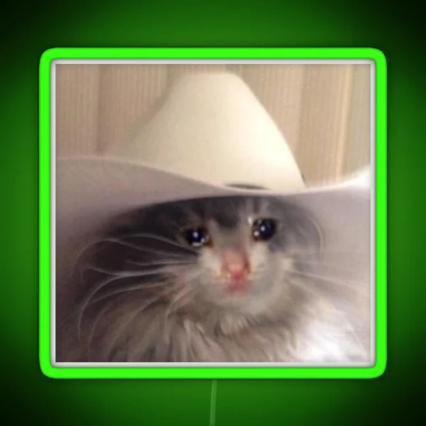 Sad Cowboy Cat RGB Neon Sign