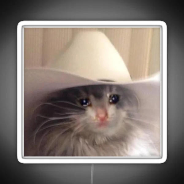 Sad Cowboy Cat RGB Neon Sign