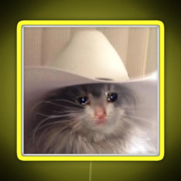 Sad Cowboy Cat RGB Neon Sign