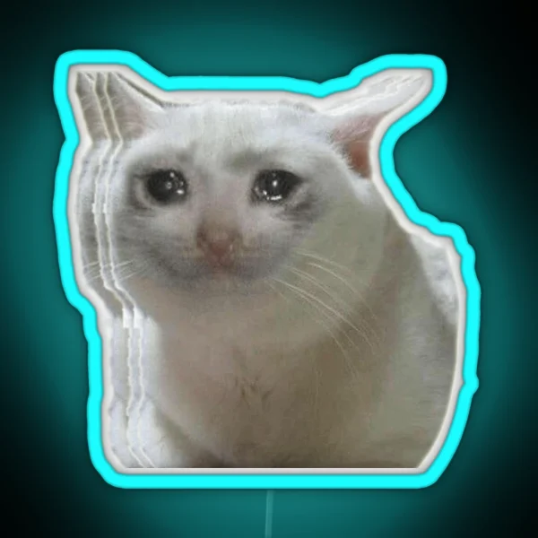 Sad Crying Cat RGB Neon Sign