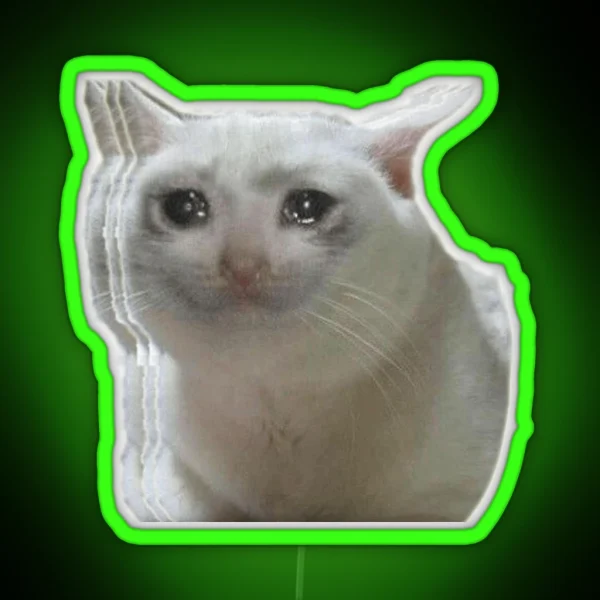 Sad Crying Cat RGB Neon Sign