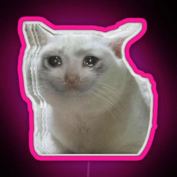 Sad Crying Cat RGB Neon Sign