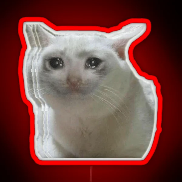 Sad Crying Cat RGB Neon Sign