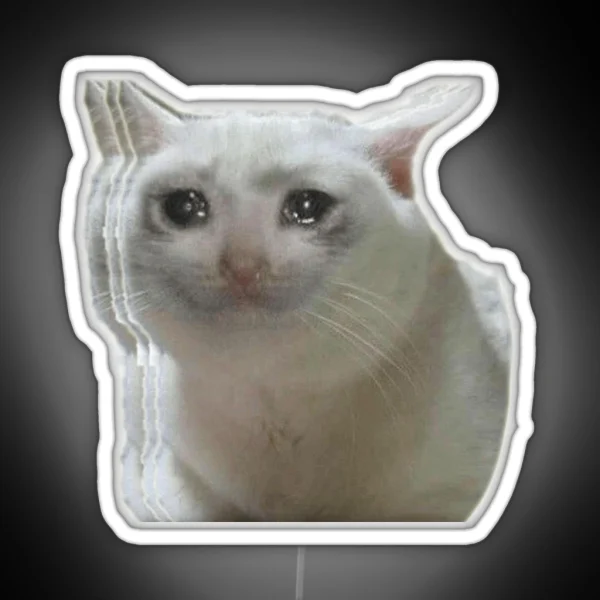 Sad Crying Cat RGB Neon Sign