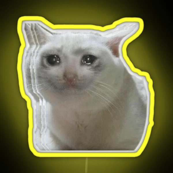 Sad Crying Cat RGB Neon Sign