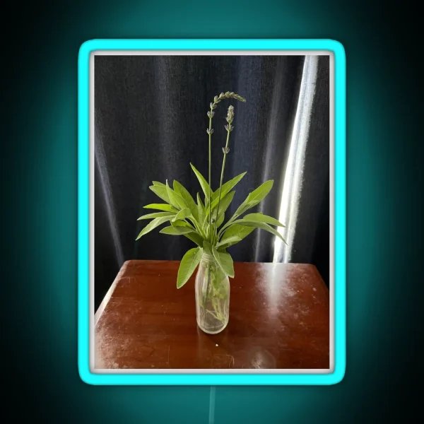 Sage And Lavender Aroma Enhancer RGB Neon Sign
