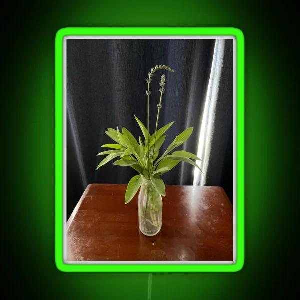Sage And Lavender Aroma Enhancer RGB Neon Sign