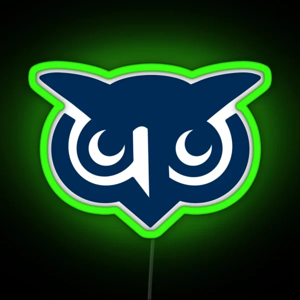 Sage The Night Owl Western Governors University 1 RGB Neon Sign