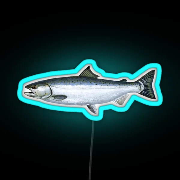 Salmon RGB Neon Sign