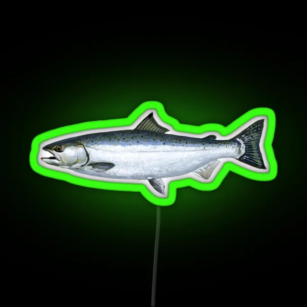 Salmon RGB Neon Sign