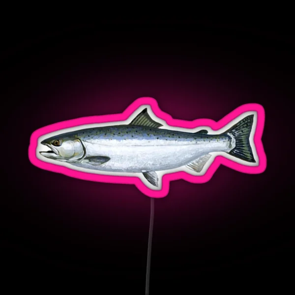 Salmon RGB Neon Sign