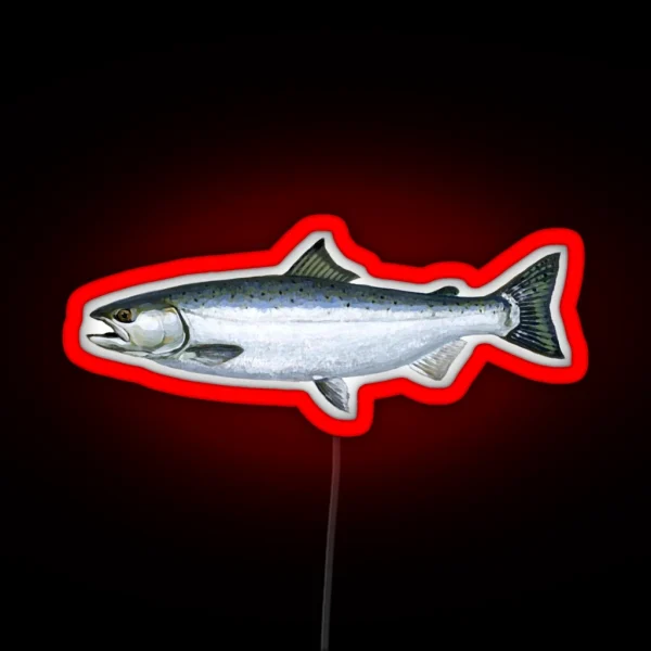 Salmon RGB Neon Sign