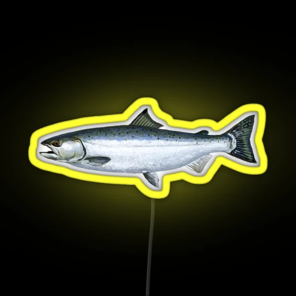 Salmon RGB Neon Sign