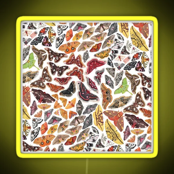 Saturniid Moths Of North America Pattern RGB Neon Sign