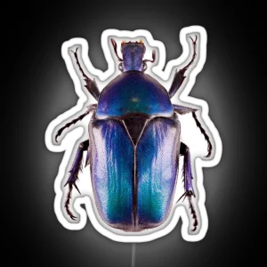 Scarab Beetle Torynorrhina Flammea RGB Neon Sign