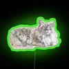 rgb neon sign featuring a seal wearing a ragdoll design, ideal for cat lovers looking for a unique gift.