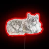 cat lovers gift featuring a neon rgb seal design - perfect for cat enthusiasts.