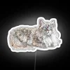 neon sign seal-ragdoll design floppy cat lovers gift rgb neon sign 44862 white
