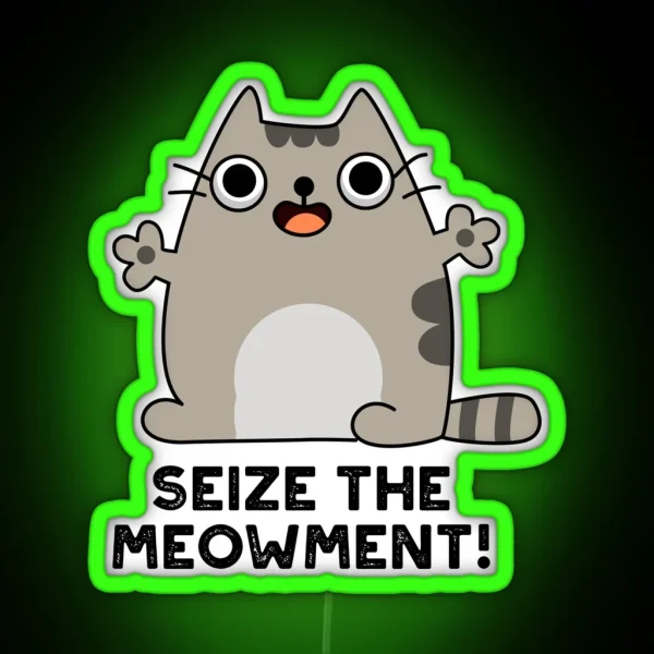 Seize The Meow Ment Positive Cat Puns RGB Neon Sign