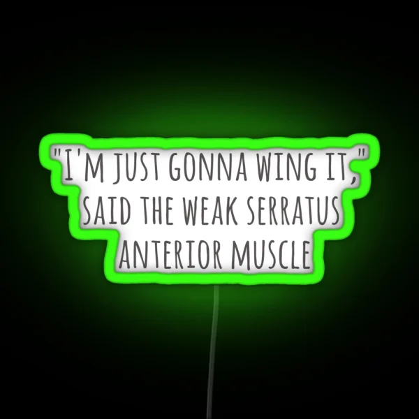 Serratus Anterior Wing It RGB Neon Sign