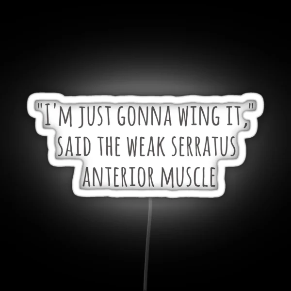 Serratus Anterior Wing It RGB Neon Sign