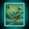shooting stars rgb neon sign vibrant display