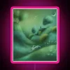 shooting stars neon sign with RGB colors and pink tones