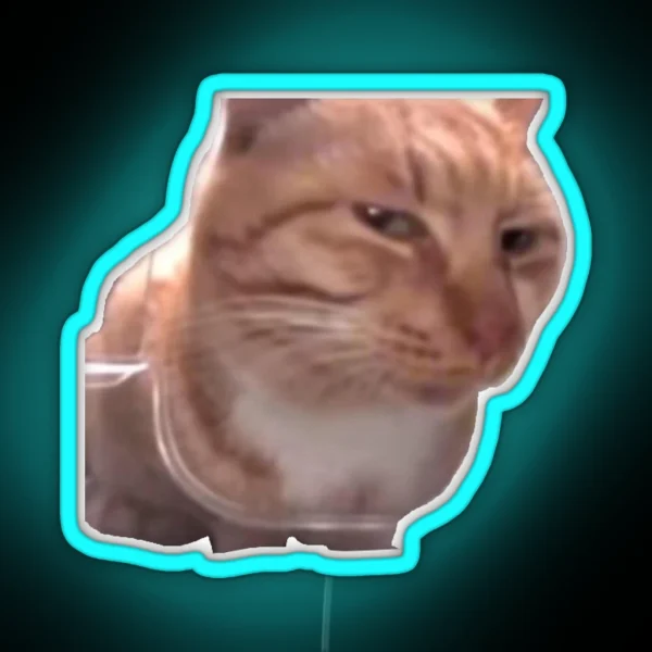 Side Eye Cat Meme RGB Neon Sign