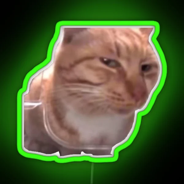 Side Eye Cat Meme RGB Neon Sign