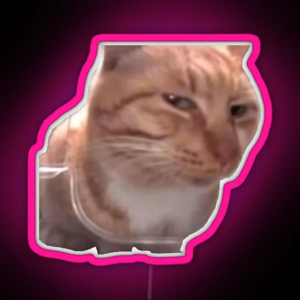 Side Eye Cat Meme RGB Neon Sign