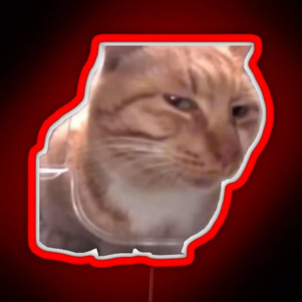 Side Eye Cat Meme RGB Neon Sign