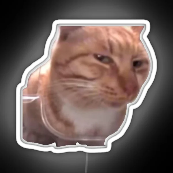 Side Eye Cat Meme RGB Neon Sign