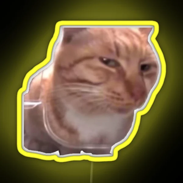 Side Eye Cat Meme RGB Neon Sign