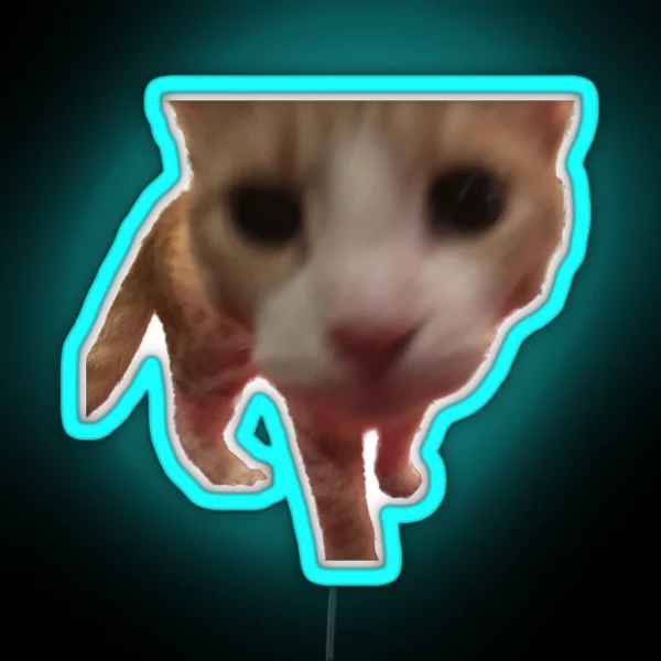 Silly Boop Orange Cat Freedom RGB Neon Sign