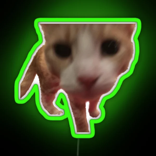 Silly Boop Orange Cat Freedom RGB Neon Sign