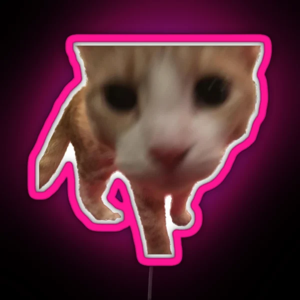 Silly Boop Orange Cat Freedom RGB Neon Sign