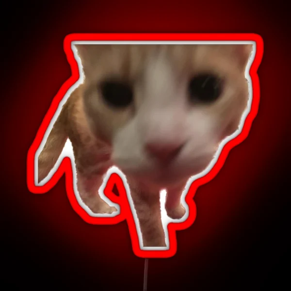 Silly Boop Orange Cat Freedom RGB Neon Sign