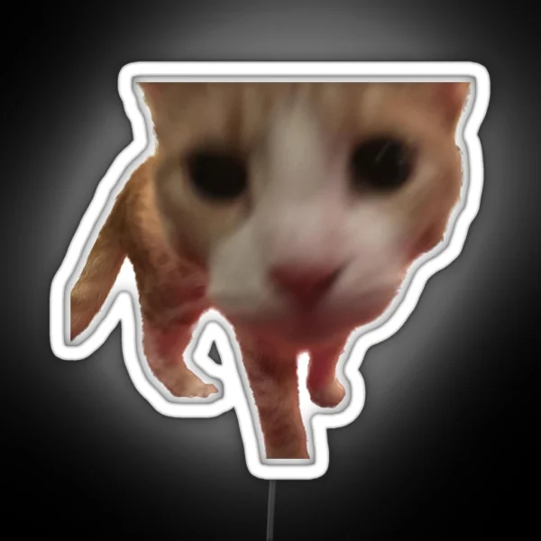 Silly Boop Orange Cat Freedom RGB Neon Sign