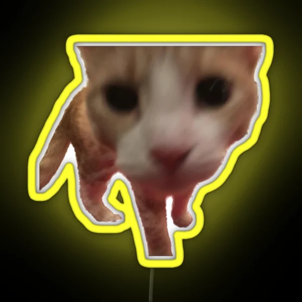 Silly Boop Orange Cat Freedom RGB Neon Sign